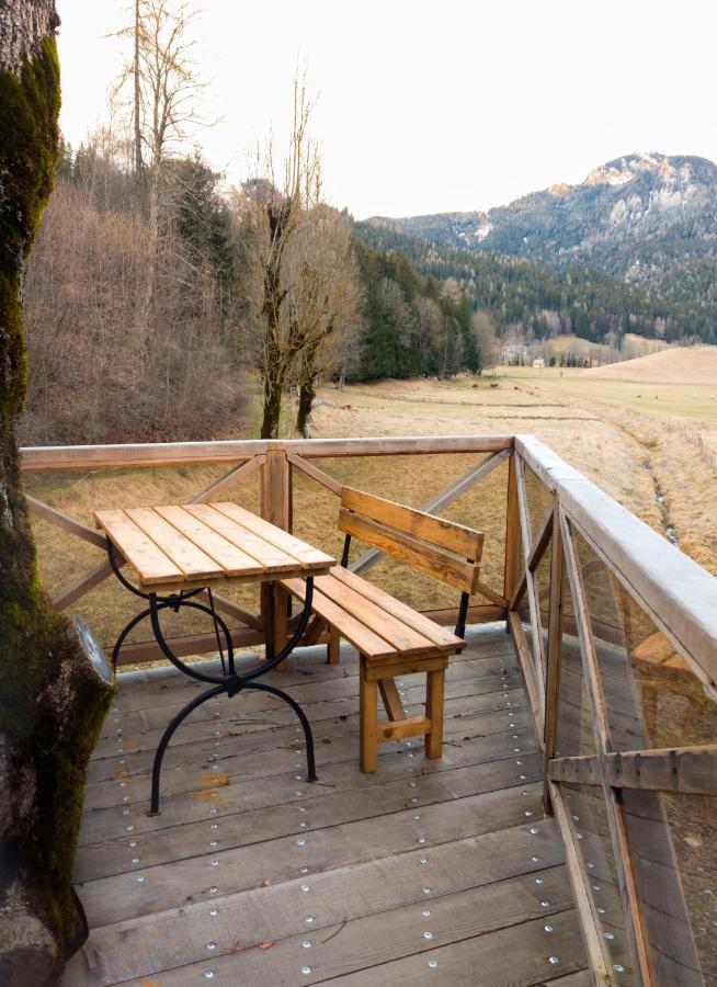 Camping & Glamping Jezersko Ex Cvet Gora Eksteriør bilde